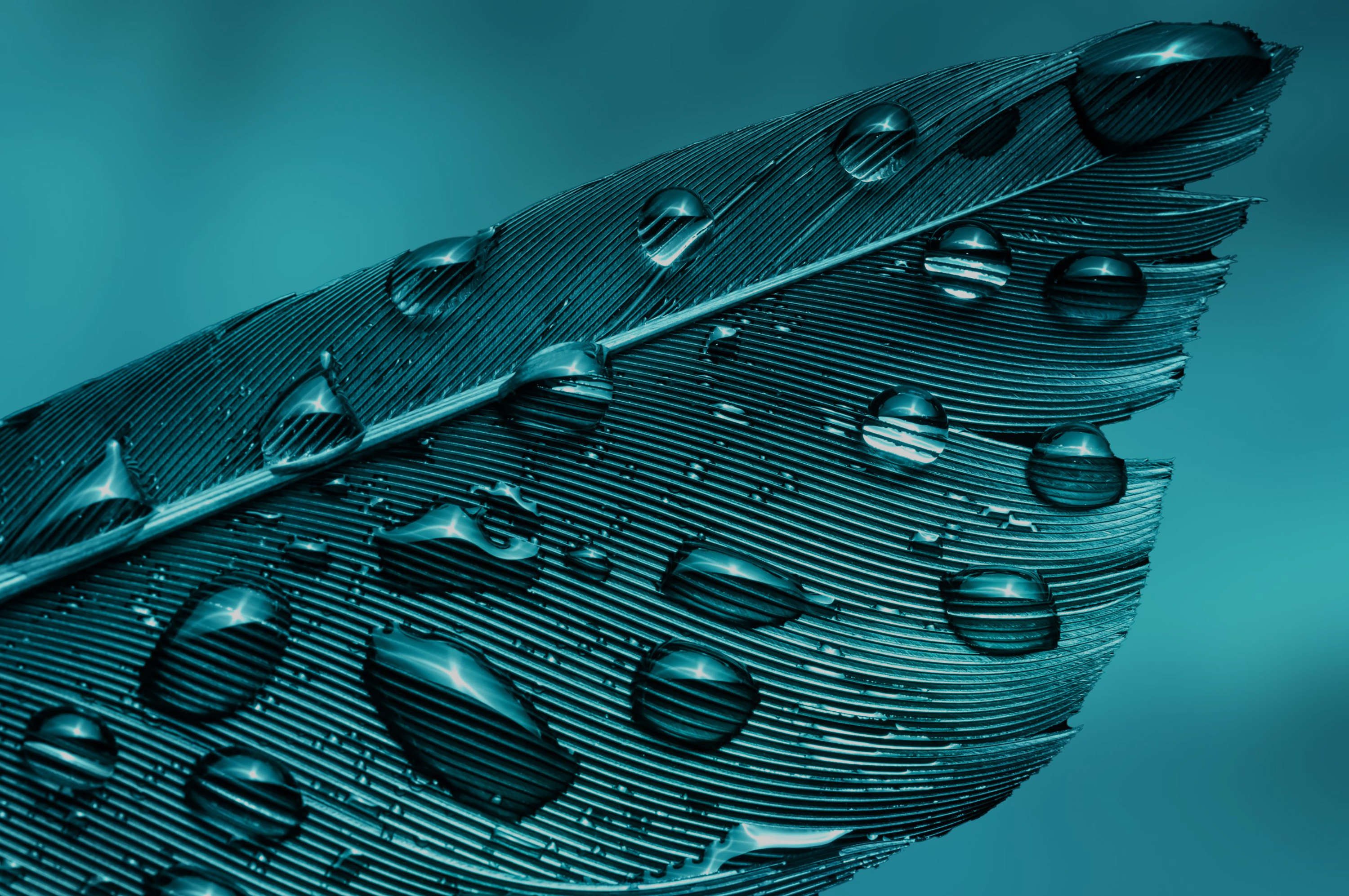 FH-StandardHero-Home Page.jpg