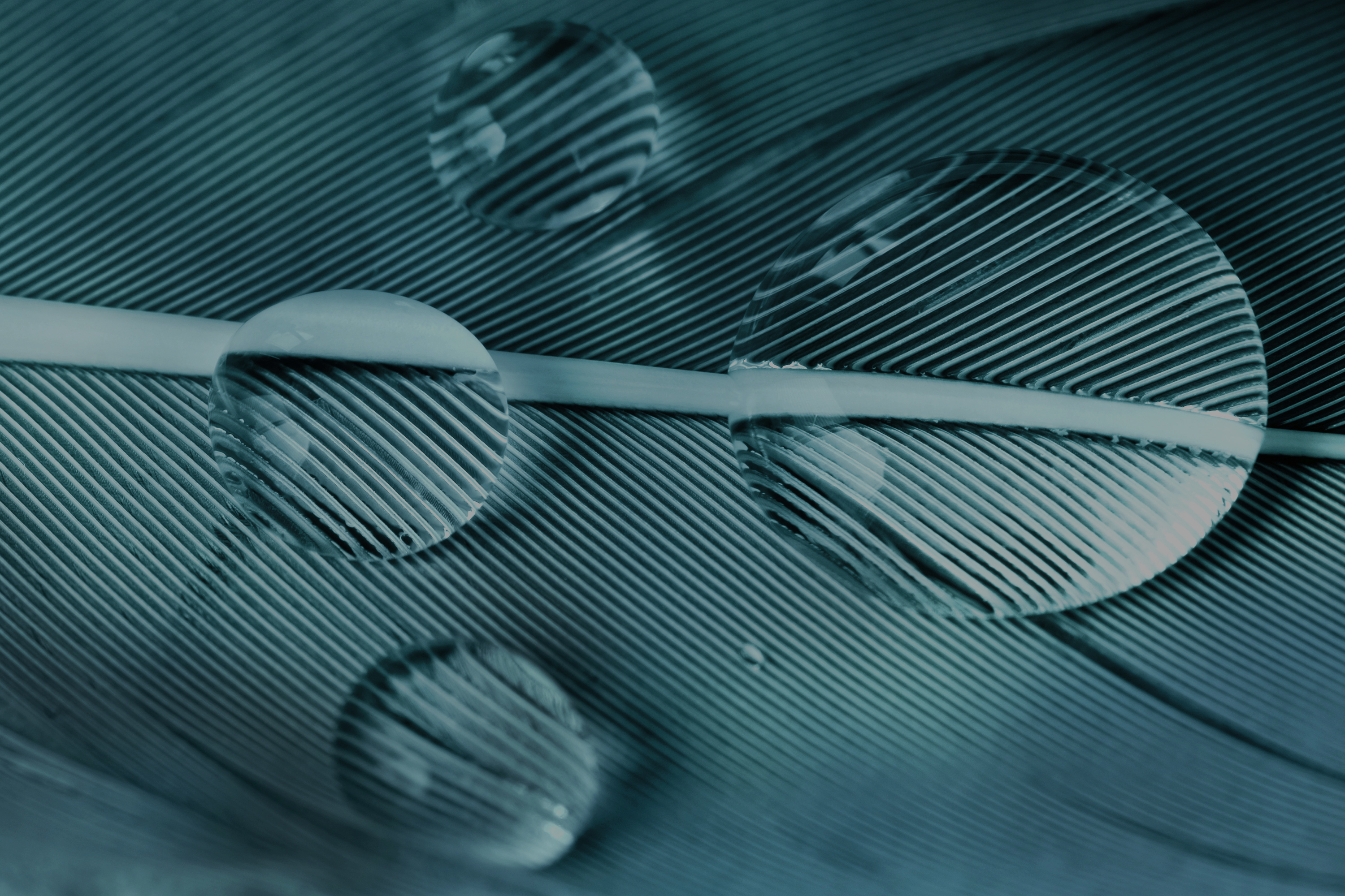 FH--Standardhero-secure your future.jpg